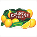 Michael Ferris Portfolio Print Work on Country Time Lemonade